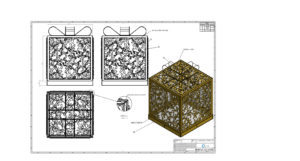 Mistletoe Box Drawing